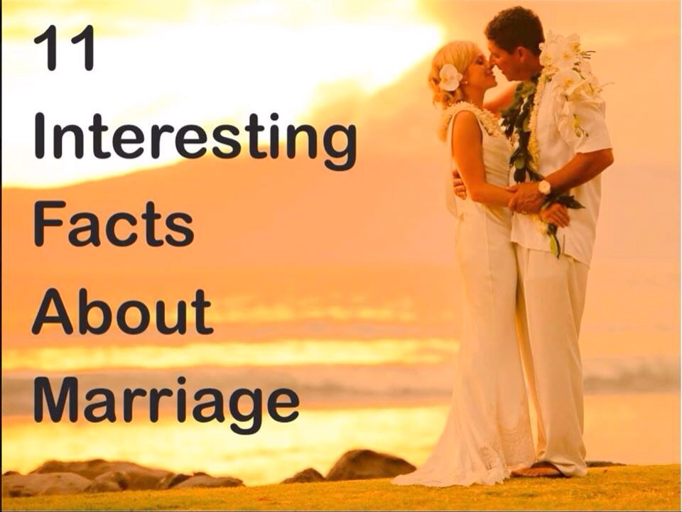 Marry fact. One gender marriage. The rewards of marriage. Marry fact. Marry fact.